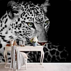 A0018 calismamasasi 1