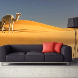 Çölde Gezen Deve Duvar Kağıdı 2 AN8020 siyah kanape