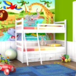 Afrikadaki Hayvanlar ve Orman Duvar Kaığıdı 9 FK0019 U 1