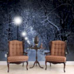 LW0025 klasik 2koltuk