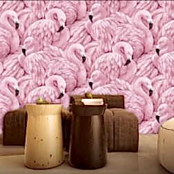 il fullxfull.2253634802 rnno