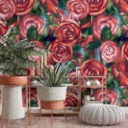 il fullxfull.2513127567 qwez