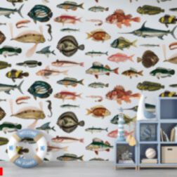 il fullxfull.2701168644 bwvy