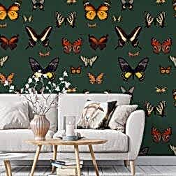 il fullxfull.2748674137 sk8g