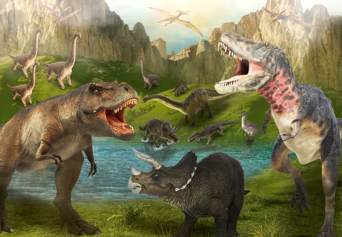 16875b9432936c71de5b7da378f89847_0_1709035024.jpg 16875b9432936c71de5b7da378f89847 0 1709035024