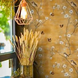 Doğanın Nefesi Duvar Kağıdı